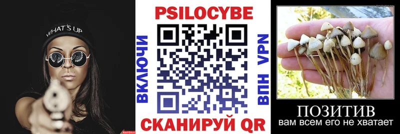 продажа наркотиков  Ухта  omg ссылка  Псилоцибиновые грибы ЛСД 