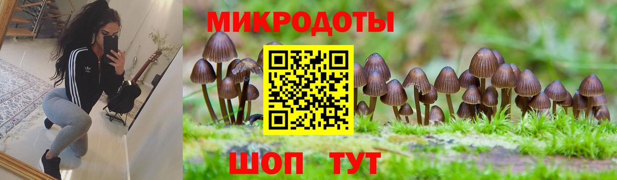 Псилоцибиновые грибы мицелий  где купить   Вход с VPN  Ухта  Галлюциногенные грибы GOLDEN TEACHER 